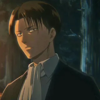 ⚔ Levi Ackerman Attack on Titan Anime, Personagem, Capitão, Tropa de Exploração, Soldado, Limpo whatsapp sticker