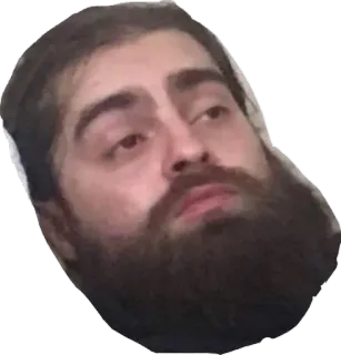 😴 homem, barba, retrato, rosto, meme, sério telegram sticker