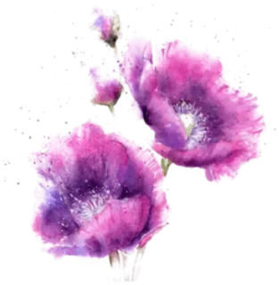 🌀 flower, floral, watercolor, pink, purple, plant telegram sticker