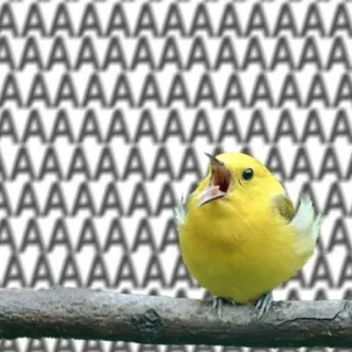 😱 AAAAAAAAAAA นก, สีเหลือง, กรีดร้อง, เสียง, สัตว์ telegram sticker