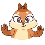 🌤 белка, животное, мультфильм, милый telegram sticker