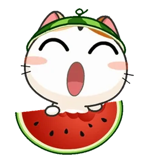 🍉 kot, arbuz, kreskówka, naklejka, słodki, jedzenie whatsapp sticker