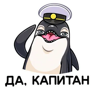 👌 ДА, КАПИТАН 돌고래, 선장, 모자, 만화, 동물, 바다 telegram sticker