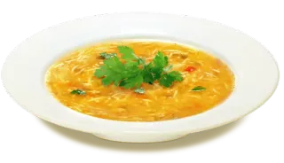 🍗 sopa, comida, almuerzo, cena, comida, caldo, plato, perejil telegram sticker