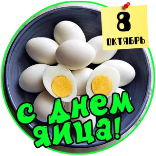 🥚 8 ОКТЯБРЬ С ДНЕМ ЯИЦА! 계란, 10월 8일, 음식, 생일, 축하 telegram sticker