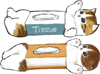 🗳 Tissue kucing, tisu, imut, hewan, kartun, hewan peliharaan telegram sticker