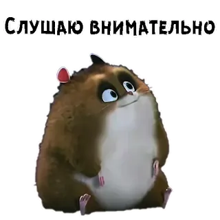 😊 СЛУШАЮ ВНИМАТЕЛЬНО хомяк, милый, слушает, животное, грызун, мультфильм whatsapp sticker