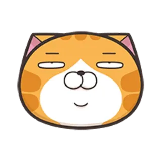 🐵 고양이, 동물, 웃긴, 귀여운, 이모지, 표정 telegram sticker