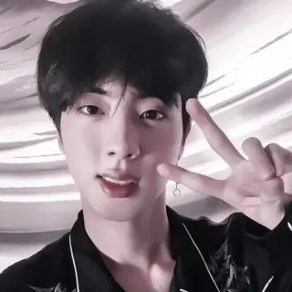 🌟 Jin kpop, musica, idol, bts, cantante, uomo, ritratto telegram sticker