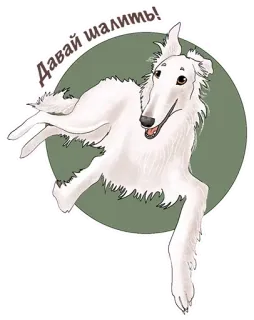 😃 Давай шалим! chien, barzoï, russe, autocollant, animal, joueur telegram sticker