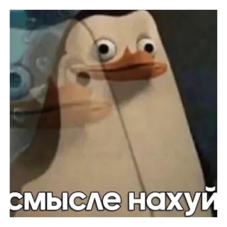 😳 смысле нахуй penguin, meme, sticker, russian language telegram sticker