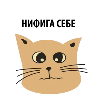 😎 gato, adesivo, animal, animal de estimação, fofo, desenho animado telegram sticker