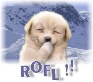🤣 ROFL!! telegram sticker