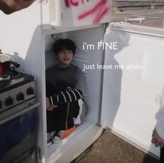 💰 i'm FINE
just leave me alone Meme, lustig, sarkastisch, traurig, Isolation, allein, Teenager, Kühlschrank whatsapp sticker