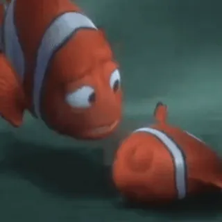 😪 Nemo Finding Nemo poisson-clown, poisson, film, animation telegram sticker