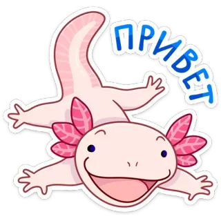 По и Фо (@TgSticker) whatsapp stickers