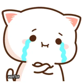 🍥 wontae Katze, traurig, weinend, Cartoon, süß telegram sticker