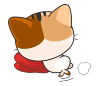 💨 chat, marche, animal, mignon whatsapp sticker