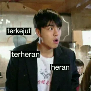 ✨ terkejut
terheran
heran мем, реакция, азиат, удивление, в шоке, в замешательстве telegram sticker