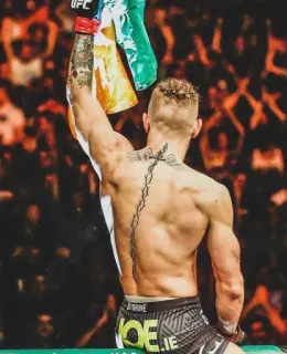 👑 Conor McGregor Конор МакГрегор, UFC, бои, спорт, атлет, MMA whatsapp sticker