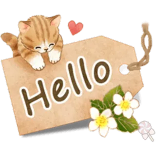 🐱 Hello gato, hola, pegatina, saludo, flores, corazón, lindo, animal whatsapp sticker
