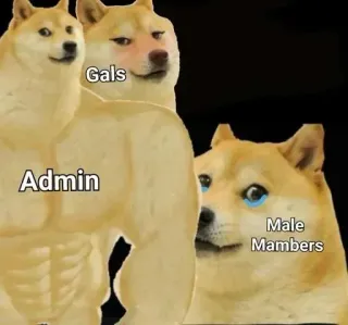 😶 Admin Gals Male Mambers 表情包, Doge, 搞笑, 管理, 女生, 男生 telegram sticker