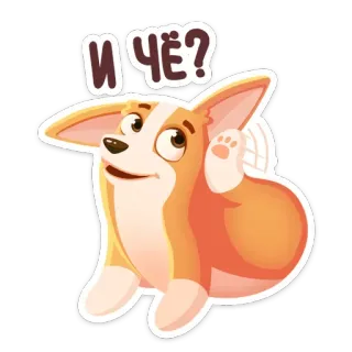 ⁉️ И ЧЁ? corgi, cachorro, pergunta, russo, adesivo telegram sticker