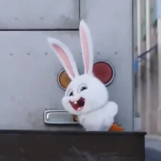 🐰 Snowball The Secret Life of Pets cartoon, bunny, rabbit, animal, cute, The Secret Life of Pets, Snowball telegram sticker