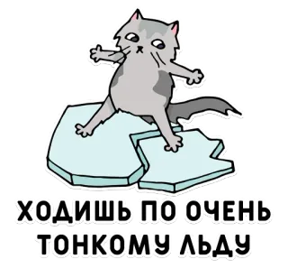 😬 ХОДИШЬ ПО ОЧЕНЬ ТОНКОМУ ЛЬДУ cat, ice, thin ice, cartoon, sticker telegram sticker