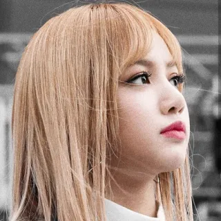 🤨 Lisa kpop, singer, idol, lisa, blackpink telegram sticker
