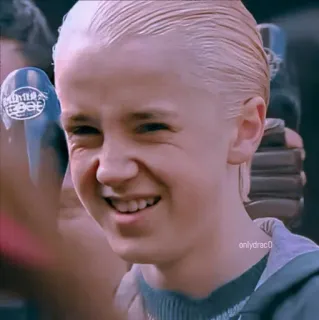 🐍 Draco Malfoy Harry Potter draco malfoy, harry potter, tom felton, mago, slytherin telegram sticker