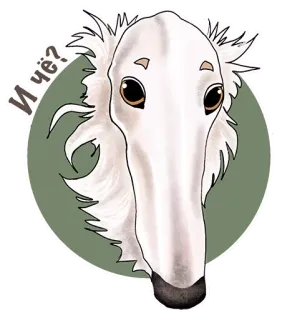 🤫 И чё? Barzoï, Chien, Mème, Russe, Animal, Animal de compagnie telegram sticker