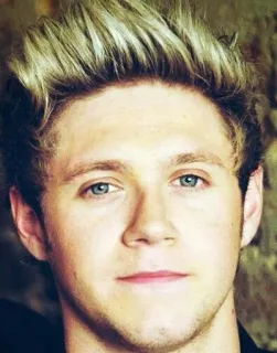 😕 Niall Horan Niall Horan, One Direction, cantante, músico, retrato, celebridad telegram sticker