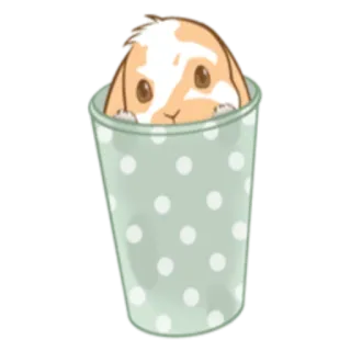 😶 kelinci, cangkir, binatang, imut, hewan peliharaan, bunny whatsapp sticker