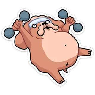 🏋 chien, entraînement, haltère, exercice, dessin animé, drôle telegram sticker