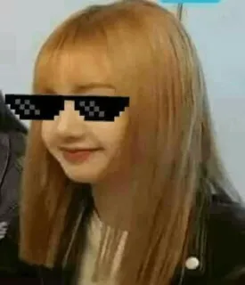 🌼 lunettes de soleil, pixelisé, meme, thug life, fun, portrait, culture web telegram sticker