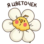 🌼 цветок, цыпленок, милый, мультфильм, желтый, белый telegram sticker