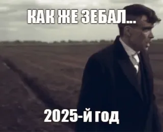 🌟 Thomas Shelby Peaky Blinders КАК ЖЕ ЗЕБАЛ...
2025-Й ГОД Thomas Shelby, Peaky Blinders, Meme, Russe, Série TV, Drame, Personnage whatsapp sticker