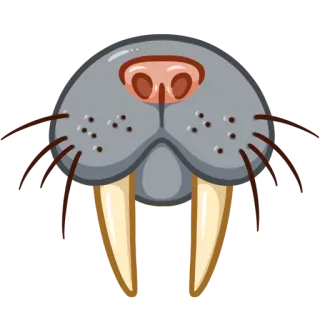🐽 animal, cartoon, face, walrus, tusk telegram sticker