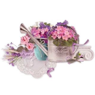🌹 Violette цветы, лейка, букет, фиалка, цветочный, декор, сад telegram sticker
