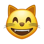 😸