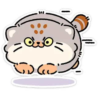 😼 cat, feline, cute, round, chubby, animal, sticker telegram sticker
