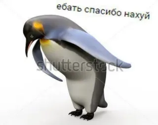 🍄 ебать спасибо нахуй penguin, meme, funny, sticker telegram sticker