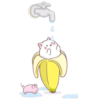 🚿 mèo, chuối, dễ thương, kawaii, động vật, mèo con, hài hước telegram sticker