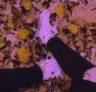🍁 giày, lá cây, mùa thu, giày dép, mùa thu, giày thể thao, chân telegram sticker