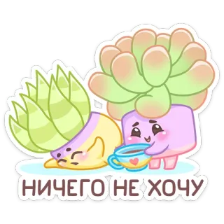 😝 НИЧЕГО НЕ ХОЧУ Суккулент, Растение, Милый, Каваий, Мультик, Кофе, Ленивый whatsapp sticker