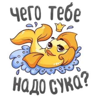 🤨 чего тебе надо сука? ikan, imut, ikan mas, pertanyaan, rusia telegram sticker