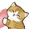 🐱