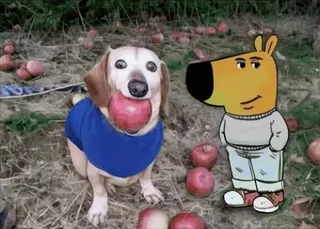 Doggo apple @TgSticker telegram stickers