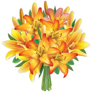 💐 цветы, лилии, букет, цветочный, оранжевый, желтый telegram sticker